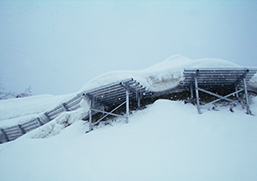 雪崩対策
